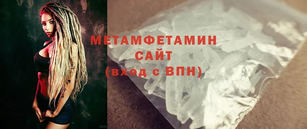 прущие грибы Богданович