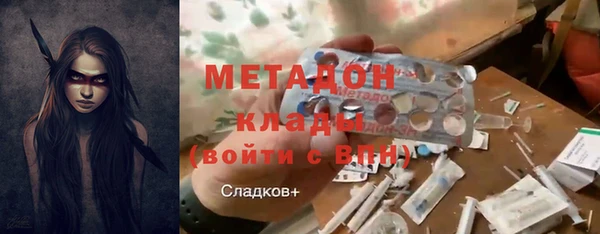 прущие грибы Богданович