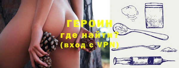 прущие грибы Богданович