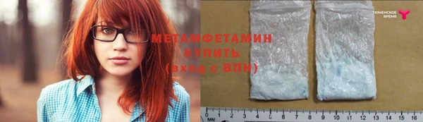 прущие грибы Богданович