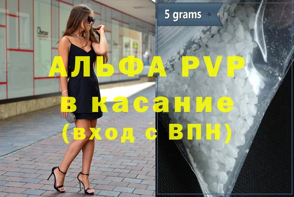 прущие грибы Богданович