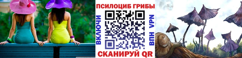 Галлюциногенные грибы прущие грибы  Купить  Белая Холуница 